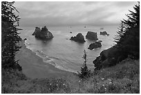 Coastline at sunset, Samuel Boardman State Park. Oregon, USA (black and white)