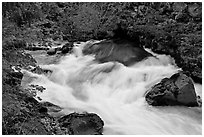 Water flowing from under lava tube. Oregon, USA ( black and white)