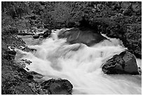 Water flowing from under lava tube. Oregon, USA (black and white)