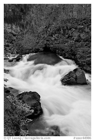 Water flowing from under basalt tube. Oregon, USA