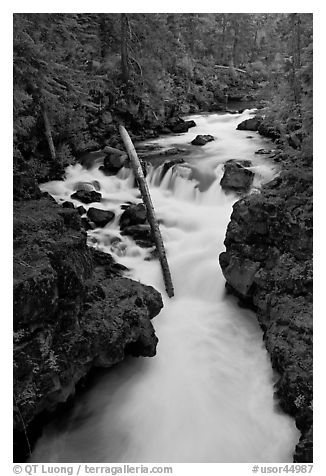 Rogue Gorge. Oregon, USA (black and white)