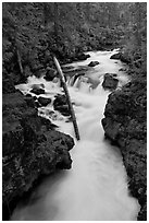 Rogue Gorge. Oregon, USA ( black and white)
