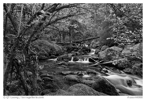 Watson Creek. Oregon, USA (black and white)