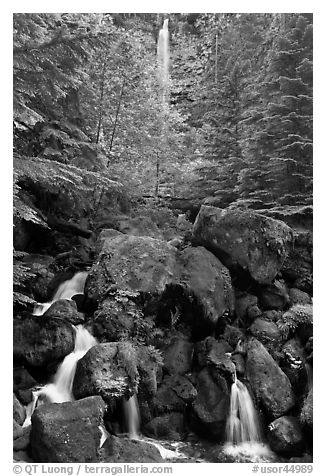 Watson Creek and Falls. Oregon, USA (black and white)