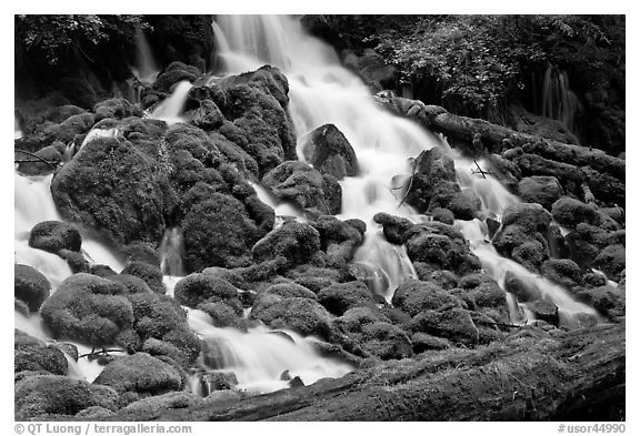 Mossy rocks and stream, North Umpqua river. Oregon, USA (black and white)