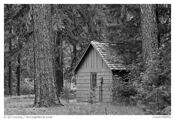 Union Creek red cabin in forest. Oregon, USA