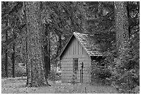 Union Creek red cabin in forest. Oregon, USA (black and white)