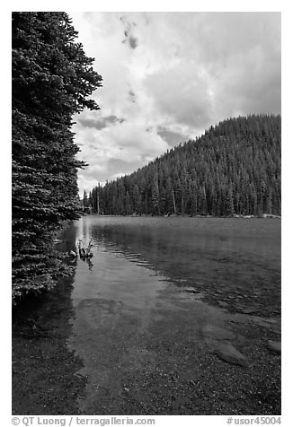 Devils Lake and forested hill. Oregon, USA (black and white)