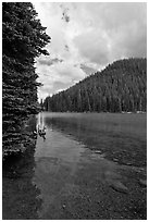 Devils Lake and forested hill. Oregon, USA ( black and white)