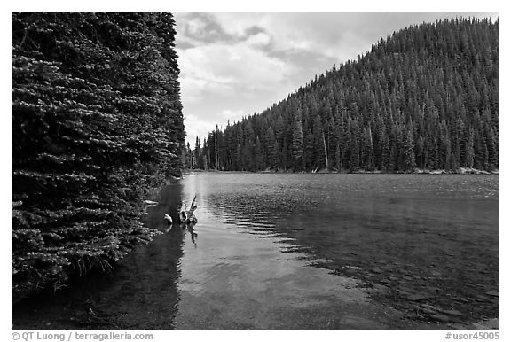 Devils Lake, Deschutes National Forest. Oregon, USA (black and white)