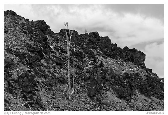 Lava outcrop, Deschutes National Forest. Oregon, USA (black and white)