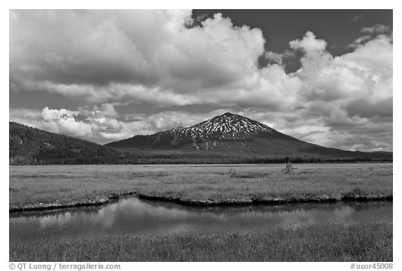 Meadow and South Sister in early summer. Oregon, USA (black and white)