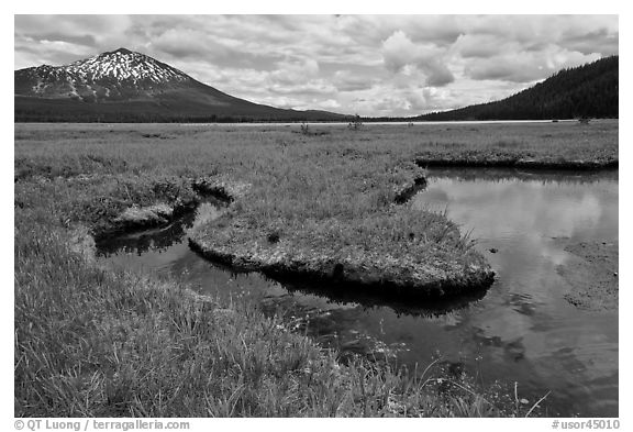 Meadow, South Sister, Deschutes National Forest. Oregon, USA