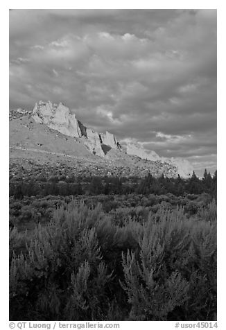 Sagebrush and ridge at sunset. Smith Rock State Park, Oregon, USA