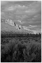 Sagebrush and ridge at sunset. Smith Rock State Park, Oregon, USA (black and white)