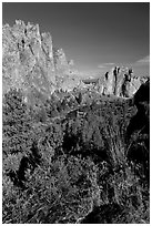 River valley and cliffs. Smith Rock State Park, Oregon, USA ( black and white)
