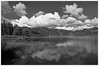 Scott Lake. Oregon, USA ( black and white)