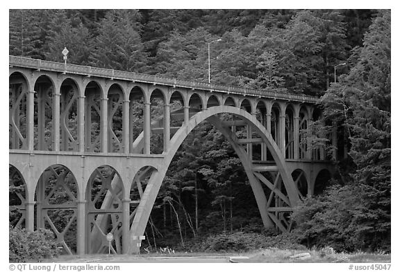 Highway 1 bridge,  Heceta Head. Oregon, USA (black and white)