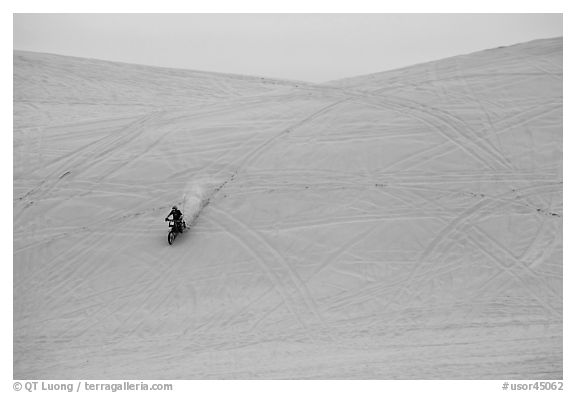 Motorcyle down dune, Oregon Dunes National Recreation Area. Oregon, USA (black and white)