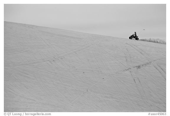 All terrain vehicle on dune crest, Oregon Dunes National Recreation Area. Oregon, USA (black and white)