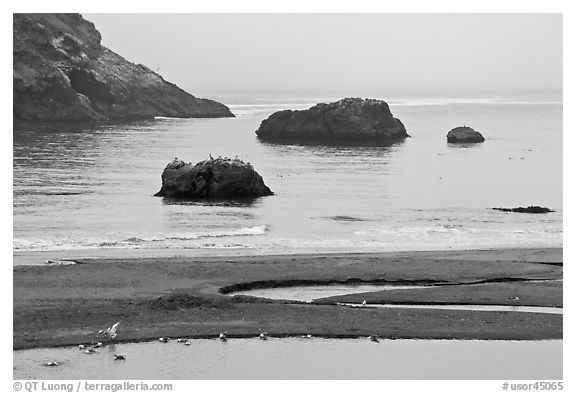 Pool and rocks, Harris Beach State Park. Oregon, USA (black and white)