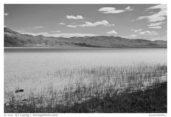 Alkaline lake. Oregon, USA (black and white)