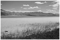 Alkaline lake. Oregon, USA (black and white)