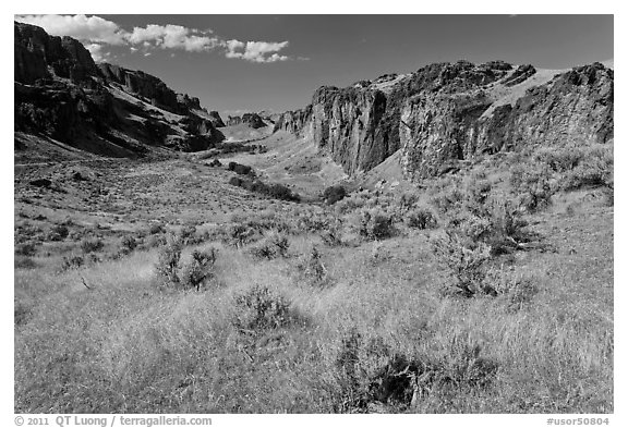 Succor Creek State Park. Oregon, USA (black and white)