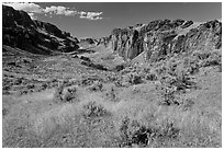 Succor Creek State Park. Oregon, USA (black and white)