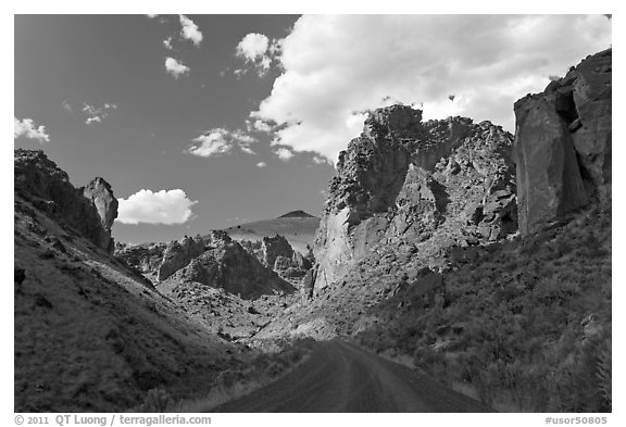 Road in Leslie Gulch. Oregon, USA (black and white)