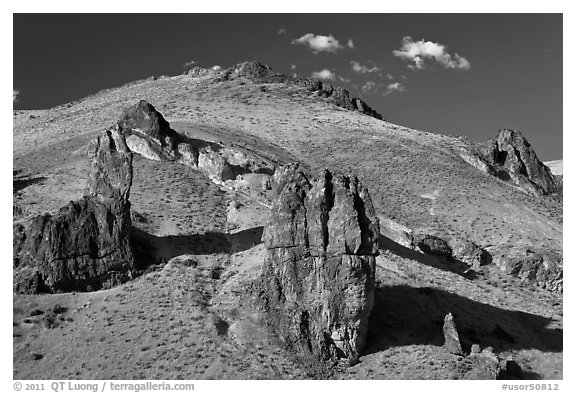 Leslie Gulch tuffs. Oregon, USA (black and white)