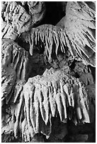 Stalactites, Oregon Caves National Monument. Oregon, USA (black and white)