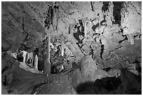 Dissolution room, Oregon Caves. Oregon, USA (black and white)