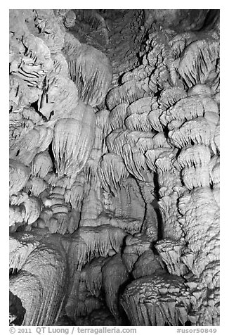 Flowstone, Oregon Caves National Monument. Oregon, USA (black and white)