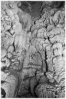 Flowstone, Oregon Caves National Monument. Oregon, USA (black and white)