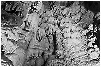 Marble Cave, Oregon Caves National Monument. Oregon, USA (black and white)