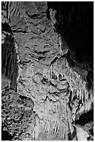 Close-up of flowstone, Oregon Caves. Oregon, USA (black and white)