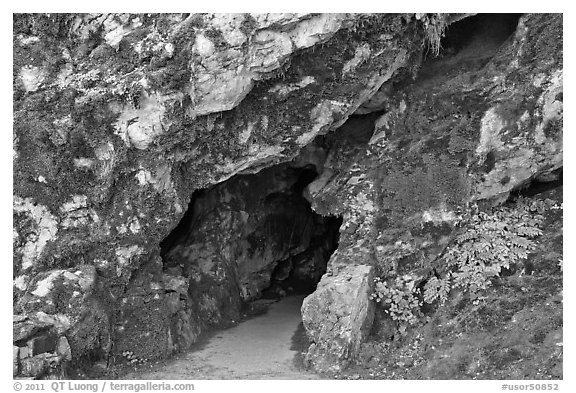 Cave entrance, Oregon Caves National Monument. Oregon, USA (black and white)