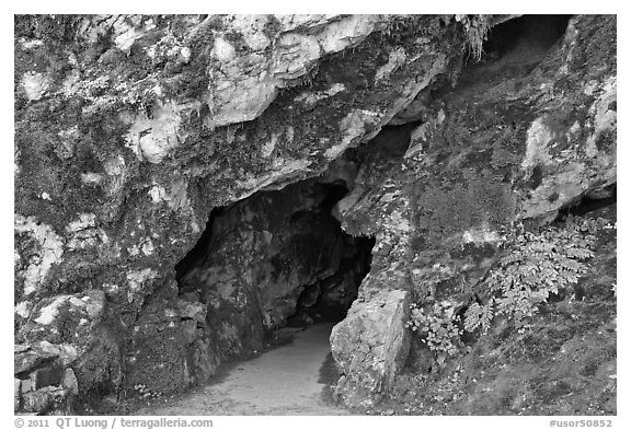 Cave entrance, Oregon Caves National Monument. Oregon, USA