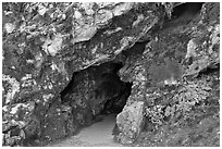 Cave entrance, Oregon Caves National Monument. Oregon, USA (black and white)