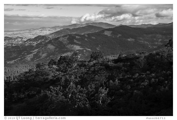 Forested ridges from Hobart Bluff. Cascade Siskiyou National Monument, Oregon, USA (black and white)