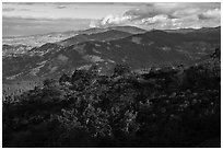 Forested ridges from Hobart Bluff. Cascade Siskiyou National Monument, Oregon, USA ( black and white)