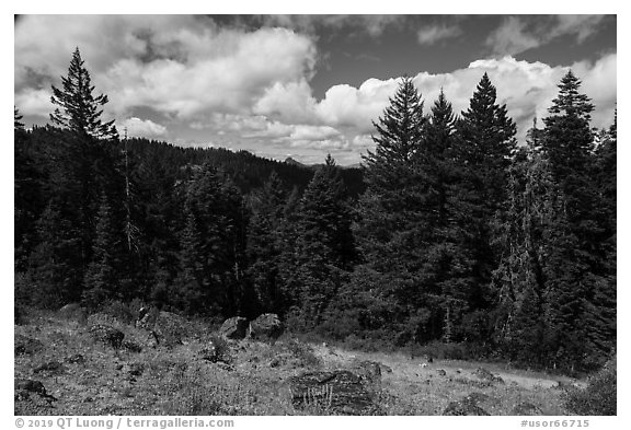 Clearing with distant view of Pilot Rock. Cascade Siskiyou National Monument, Oregon, USA (black and white)