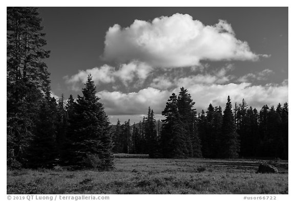 Meadow and clouds near Grizzly Peak. Cascade Siskiyou National Monument, Oregon, USA (black and white)