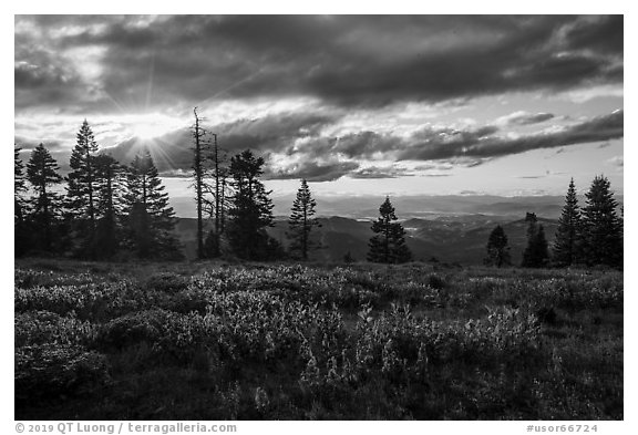 Meadow, sun, and view over mountains near Grizzly Peak. Cascade Siskiyou National Monument, Oregon, USA (black and white)