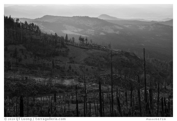 Burned forest near Grizzly Peak. Cascade Siskiyou National Monument, Oregon, USA (black and white)