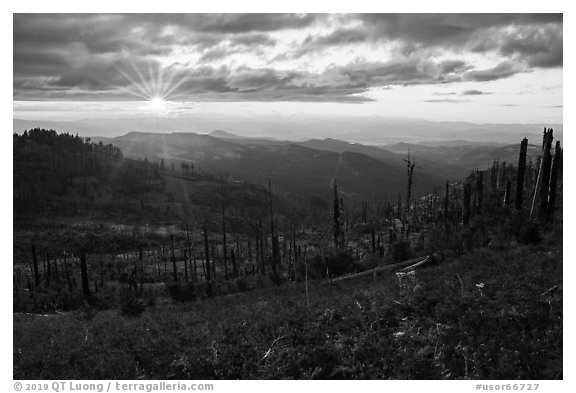 Sun setting over Burned forest, Grizzly Peak. Cascade Siskiyou National Monument, Oregon, USA (black and white)
