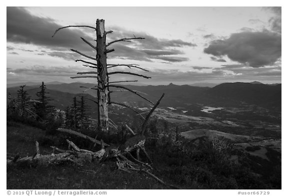 Last light on dead tree, with distant Pilot Rock, Grizzly Peak. Cascade Siskiyou National Monument, Oregon, USA (black and white)