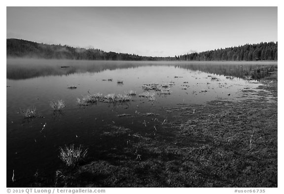 Hyatt Lake. Cascade Siskiyou National Monument, Oregon, USA (black and white)