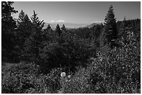 Soda Mountain Wilderness and Mount Shasta. Cascade Siskiyou National Monument, Oregon, USA ( black and white)